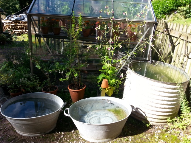 rainwater harvesting in various up-cycled baths and barrels